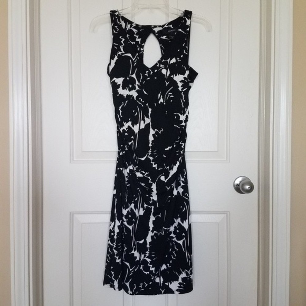 Express Dress Black and White Floral V Neck Dress
